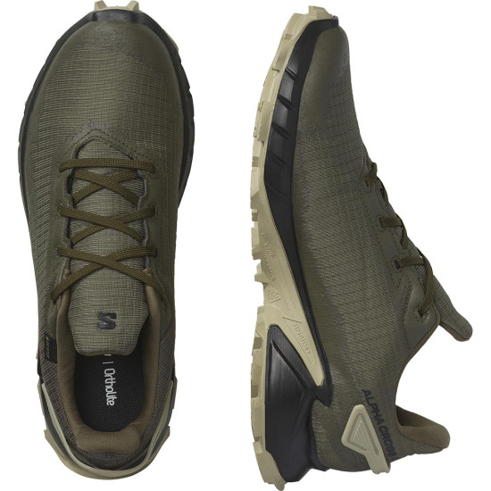 Salomon Alphacross 4 GTX